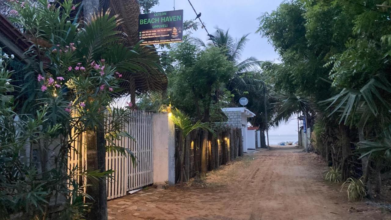 Ceylon Beach Haven Uppuveli Trincomalee Exterior foto